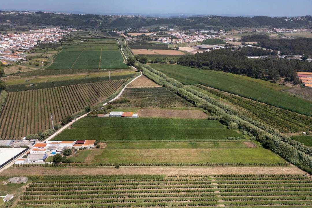 Quinta T4 para Venda em Alfeizerão Foto 75
