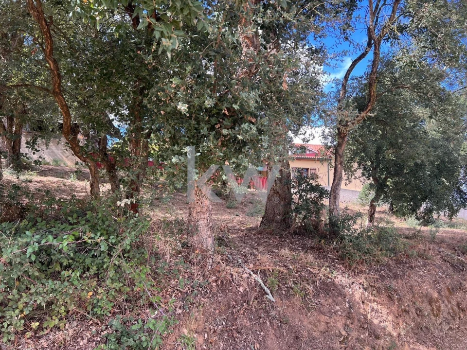 Terreno para Venda em Vila Nova de Monsarros Foto 9