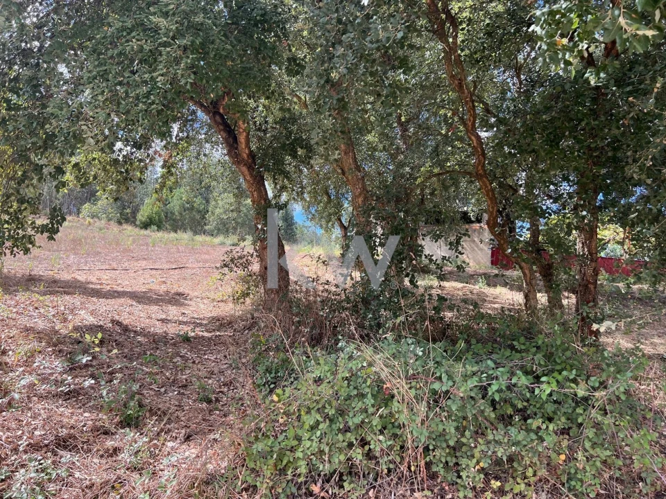 Terreno para Venda em Vila Nova de Monsarros Foto 5