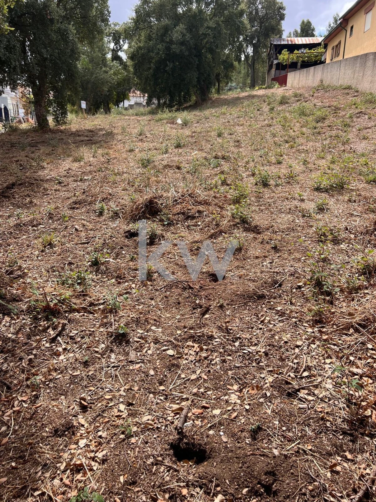 Terreno para Venda em Vila Nova de Monsarros Foto 2