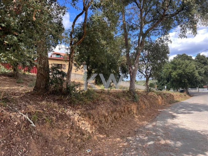 Terreno para Venda em Vila Nova de Monsarros Foto 7