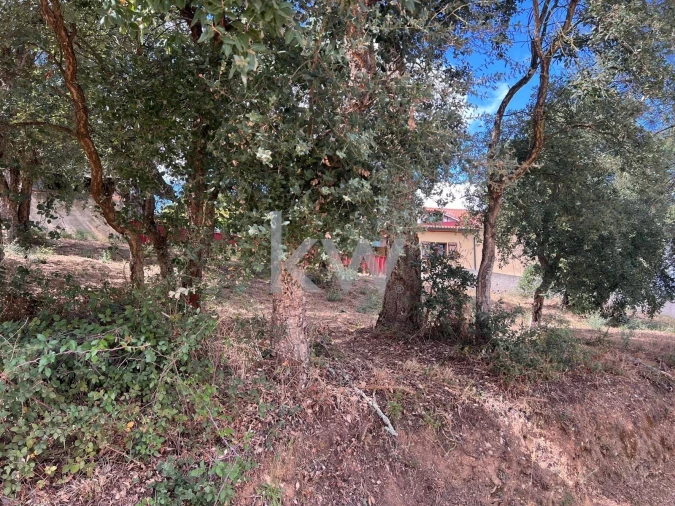 Terreno para Venda em Vila Nova de Monsarros Foto 9