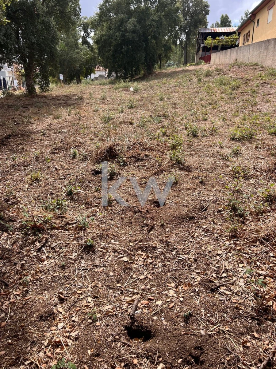 Terreno para Venda em Vila Nova de Monsarros Foto 2