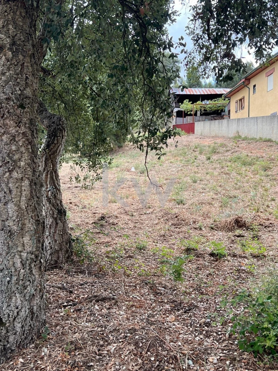 Terreno para Venda em Vila Nova de Monsarros