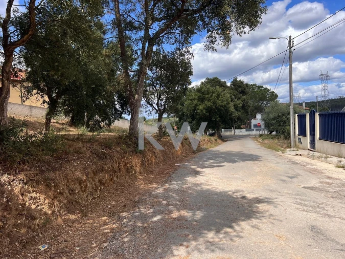 Terreno para Venda em Vila Nova de Monsarros Foto 8