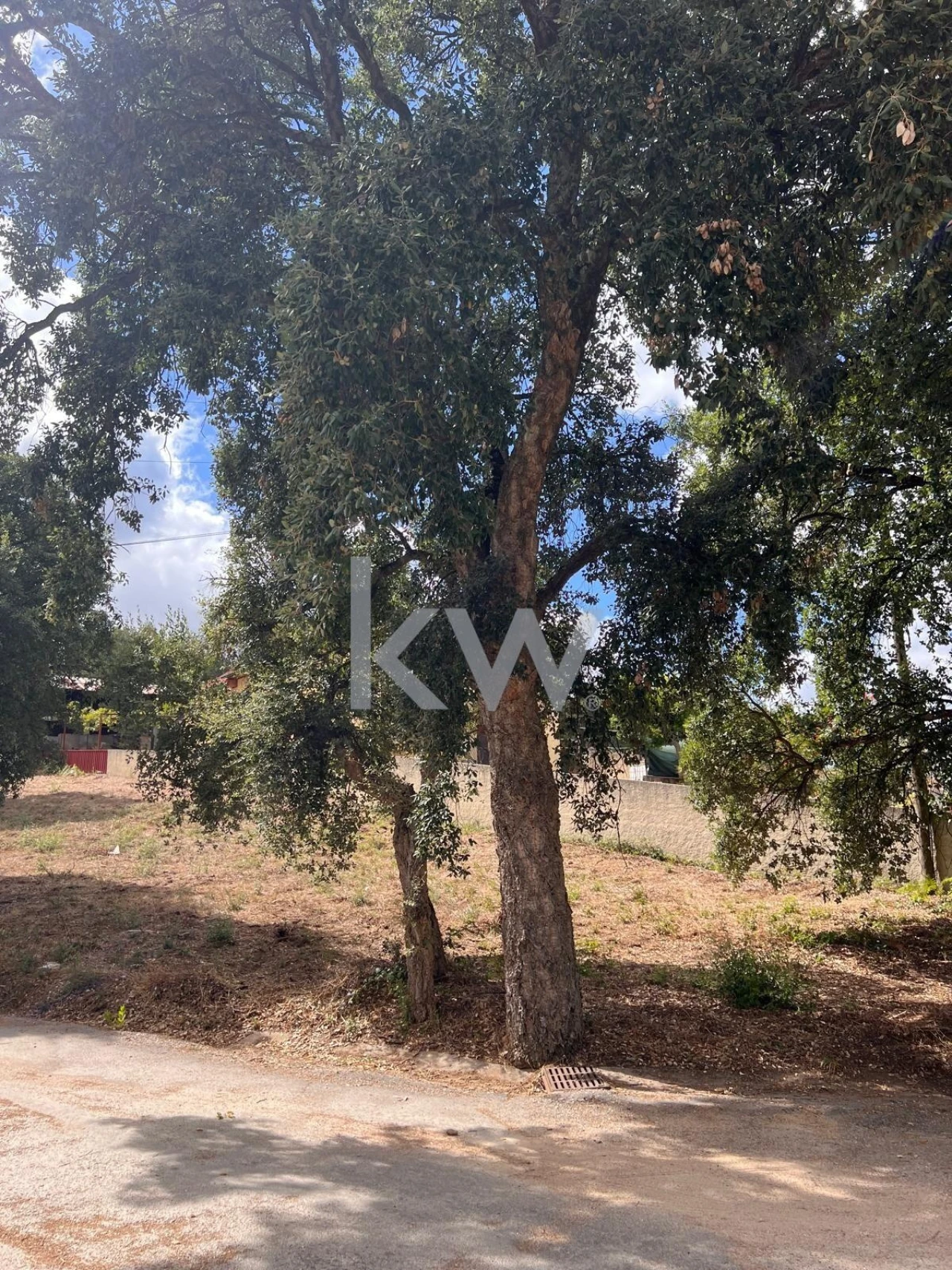 Terreno para Venda em Vila Nova de Monsarros Foto 3