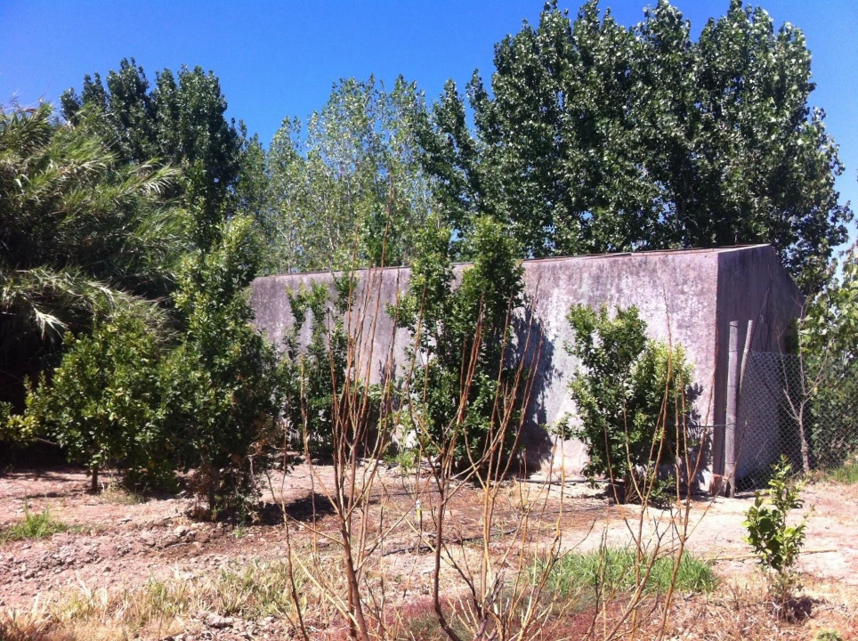 Quinta T5 para Venda em Benfica do Ribatejo Foto 38