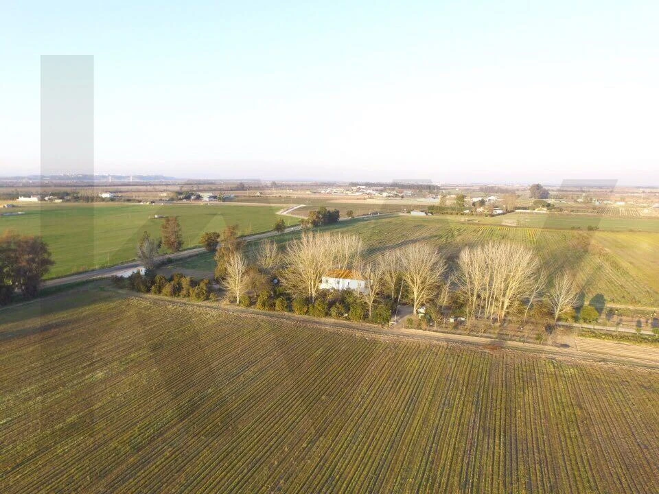 Quinta T5 para Venda em Benfica do Ribatejo Foto 34