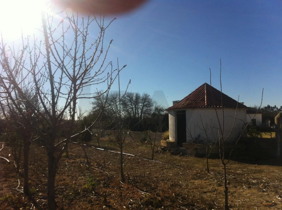 Quinta T5 para Venda em Benfica do Ribatejo Foto 39