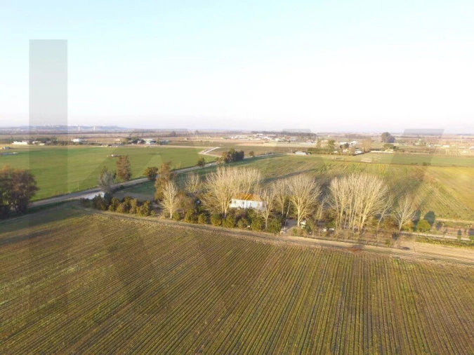 Quinta T5 para Venda em Benfica do Ribatejo Foto 34