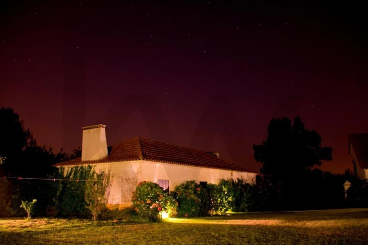 Quinta T5 para Venda em Benfica do Ribatejo Foto 22