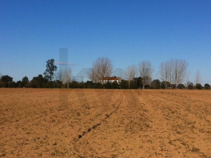 Quinta T5 para Venda em Benfica do Ribatejo Foto 31