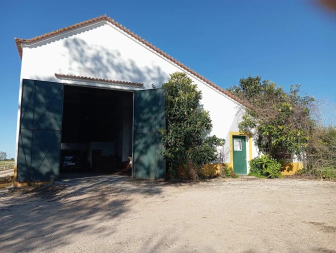 Quinta T5 para Venda em Benfica do Ribatejo Foto 27