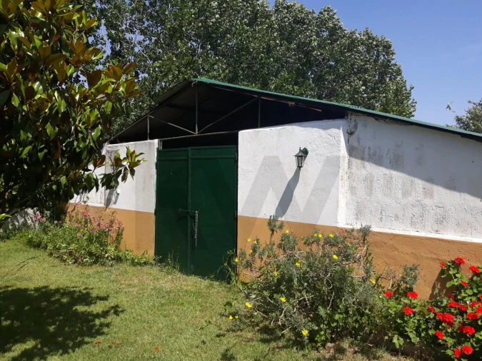 Quinta T5 para Venda em Benfica do Ribatejo Foto 25