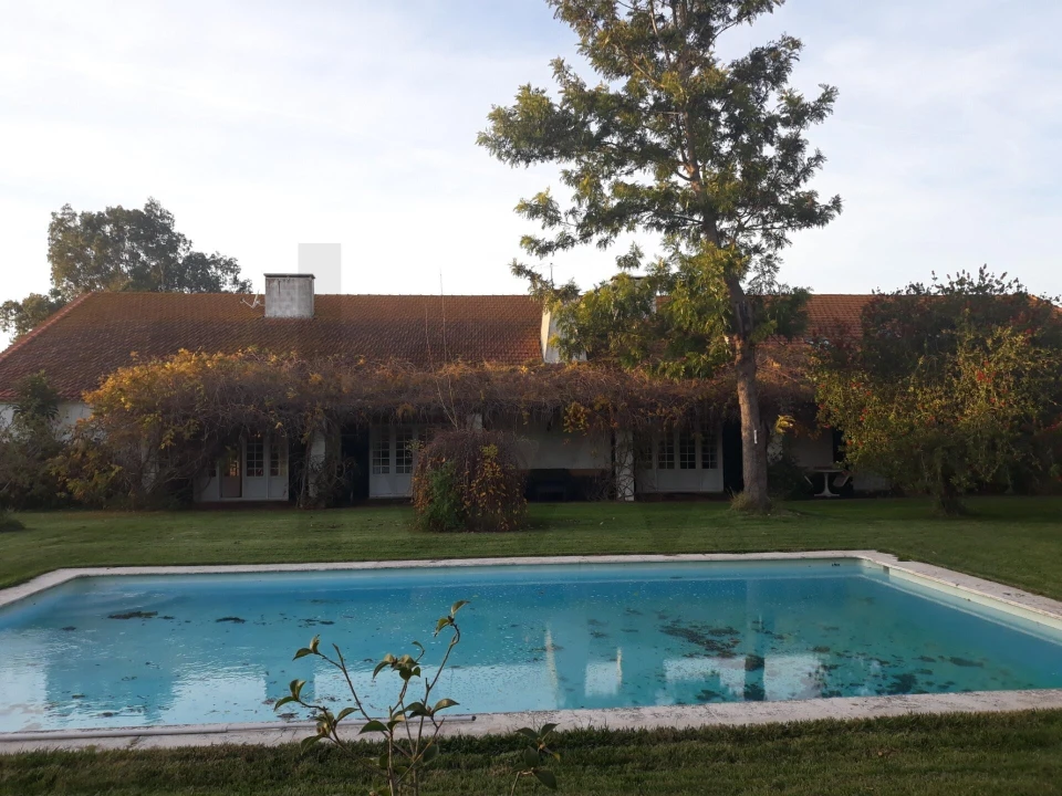 Quinta T5 para Venda em Benfica do Ribatejo Foto 5