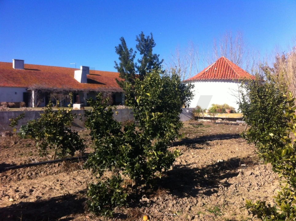 Quinta T5 para Venda em Benfica do Ribatejo Foto 36