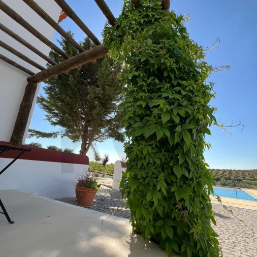 Moradia T7 para Venda em Nossa Senhora da Conceição, São Brás dos Matos, Juromenha Foto 41