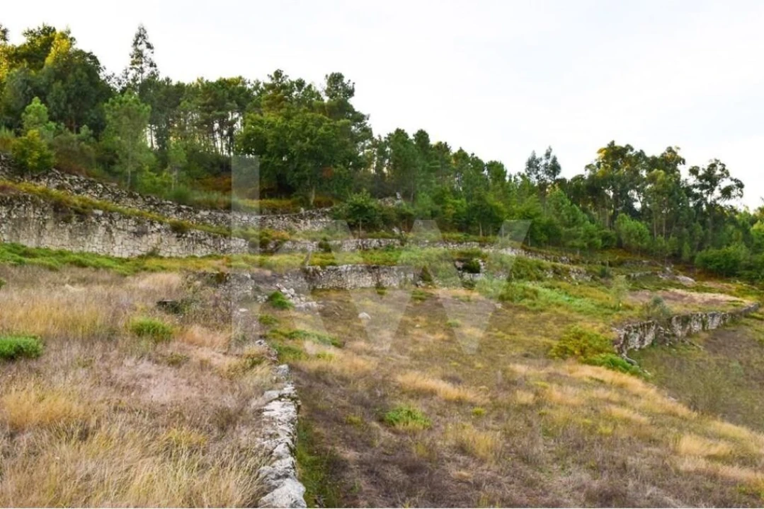 Terreno para Venda em Rio Douro Foto 5