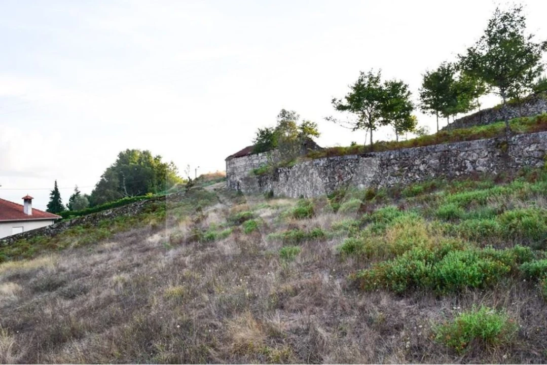 Terreno para Venda em Rio Douro Foto 7