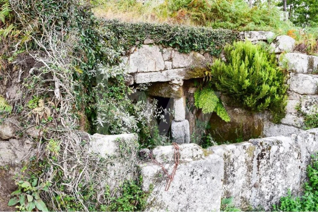 Terreno para Venda em Rio Douro Foto 9