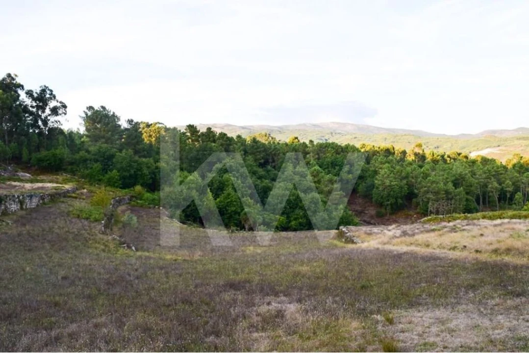 Terreno para Venda em Rio Douro Foto 8