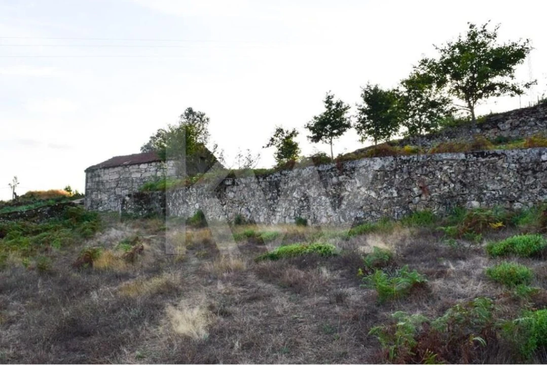 Terreno para Venda em Rio Douro Foto 3