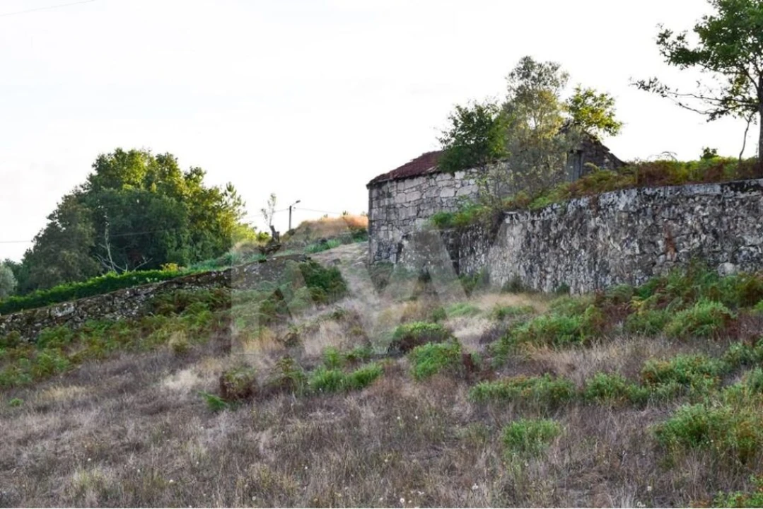 Terreno para Venda em Rio Douro Foto 6