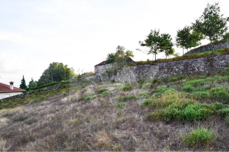 Terreno para Venda em Rio Douro Foto 7