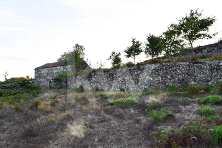 Terreno para Venda em Rio Douro Foto 3