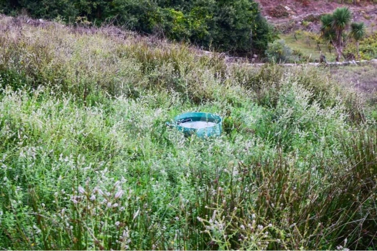 Terreno para Venda em Rio Douro Foto 10