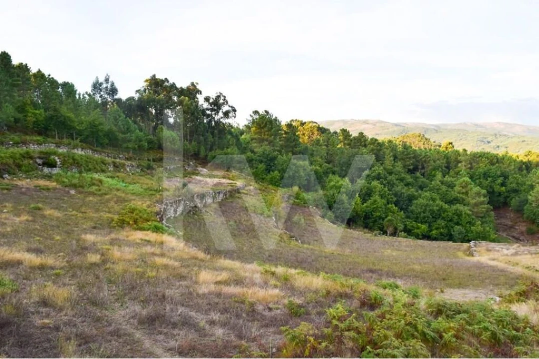 Terreno para Venda em Rio Douro Foto 4