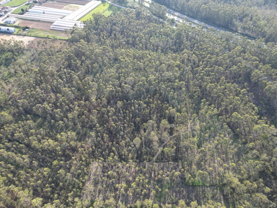 Terreno para Venda em Aver-O-Mar, Amorim e Terroso Foto 14