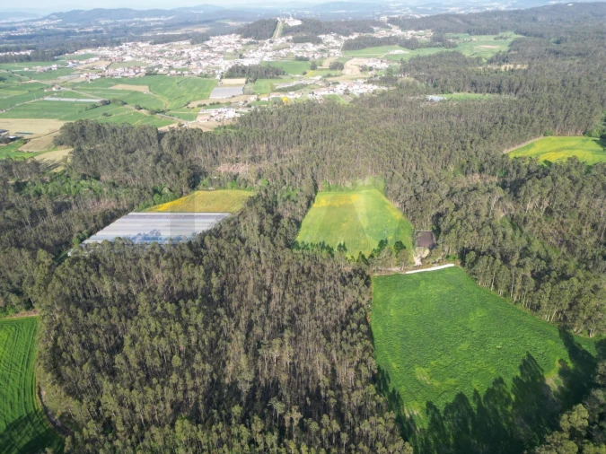 Terreno para Venda em Aver-O-Mar, Amorim e Terroso Foto 17