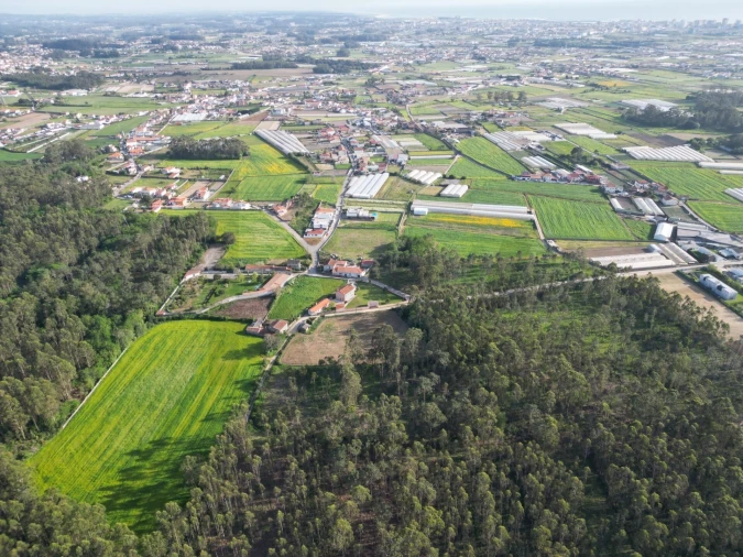 Terreno para Venda em Aver-O-Mar, Amorim e Terroso Foto 16