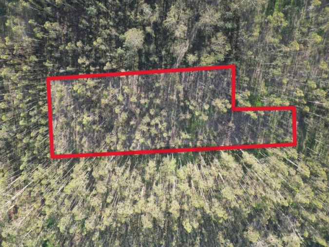 Terreno para Venda em Aver-O-Mar, Amorim e Terroso Foto 19