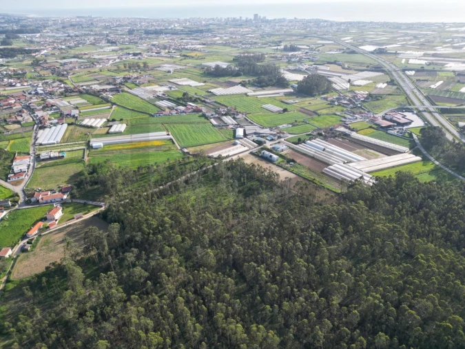 Terreno para Venda em Aver-O-Mar, Amorim e Terroso Foto 15