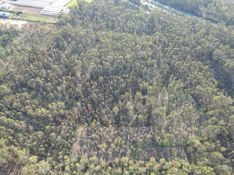 Terreno para Venda em Aver-O-Mar, Amorim e Terroso Foto 13