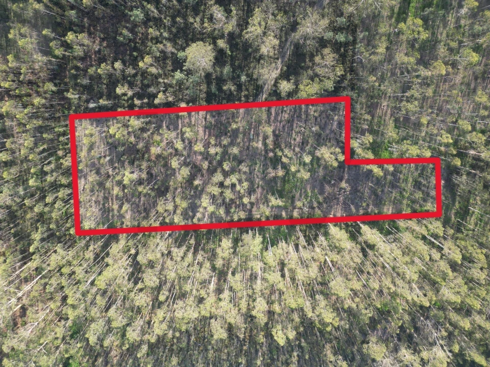 Terreno para Venda em Aver-O-Mar, Amorim e Terroso Foto 19