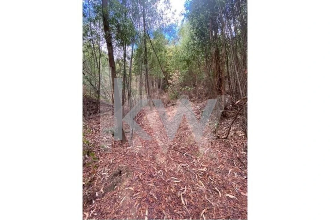 Terreno para Venda em Melres e Medas Foto 28