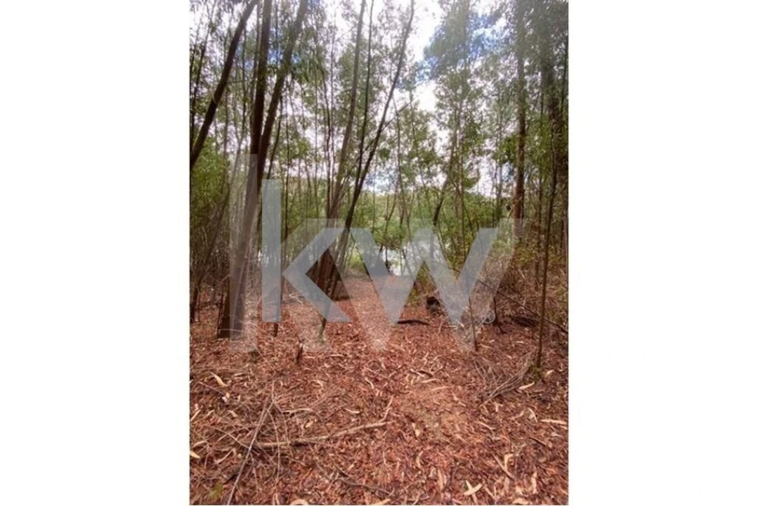 Terreno para Venda em Melres e Medas Foto 27