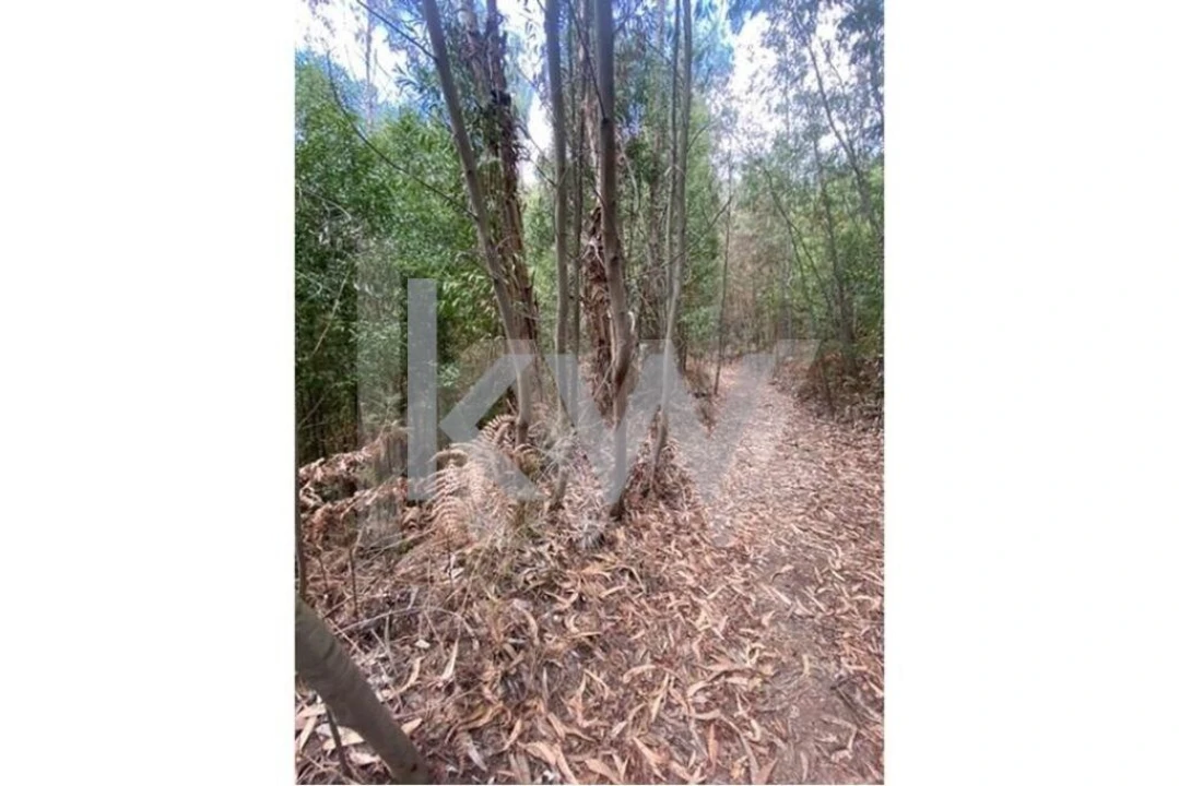 Terreno para Venda em Melres e Medas Foto 22