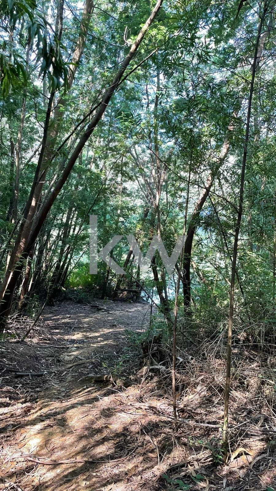 Terreno para Venda em Melres e Medas Foto 19