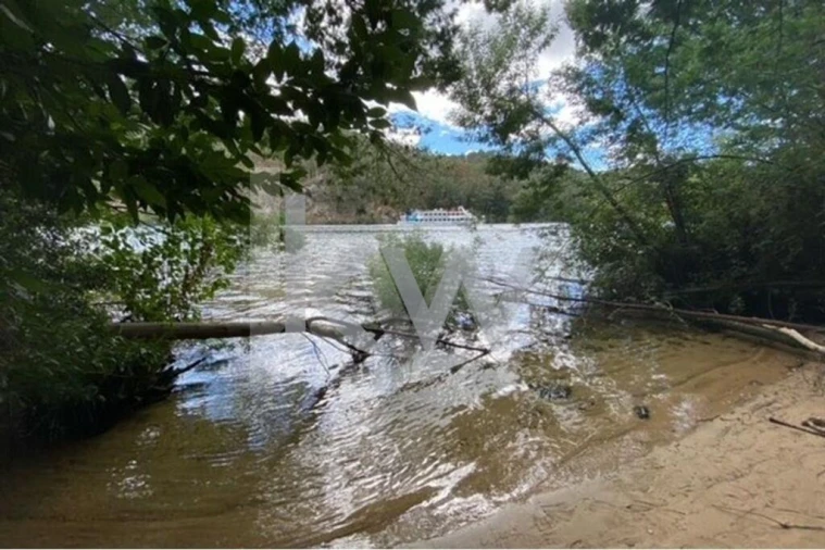 Terreno para Venda em Melres e Medas Foto 4