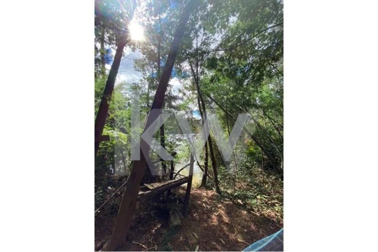 Terreno para Venda em Melres e Medas Foto 20