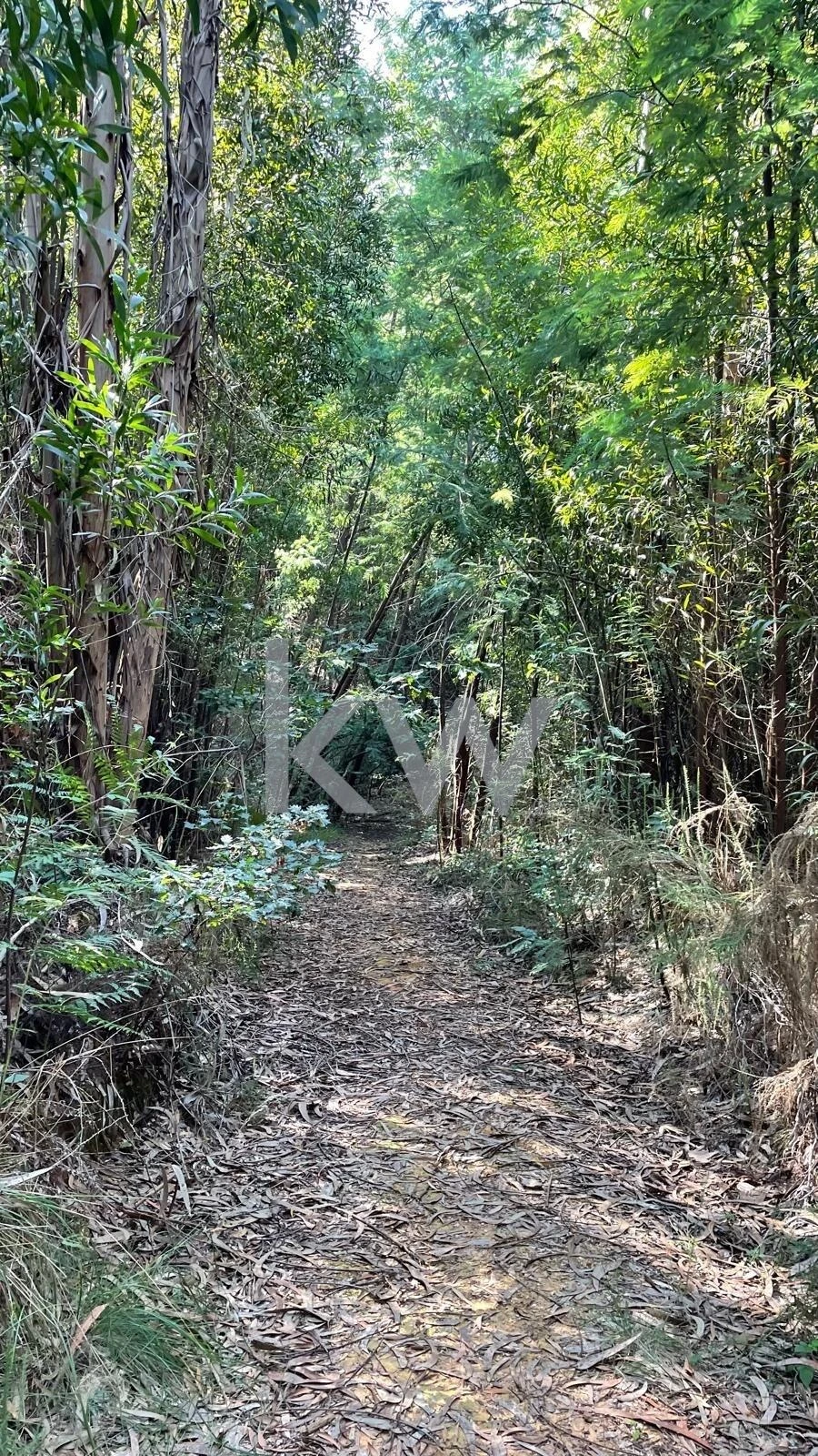 Terreno para Venda em Melres e Medas Foto 18