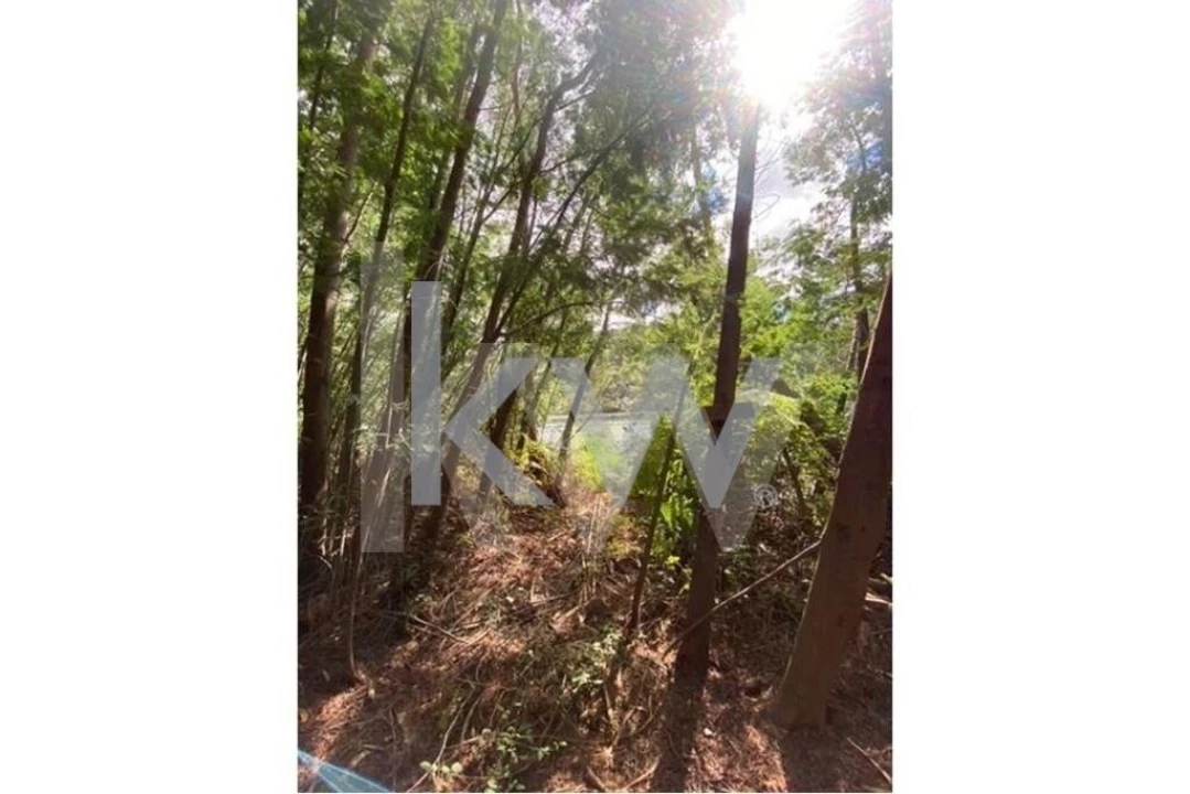 Terreno para Venda em Melres e Medas Foto 21