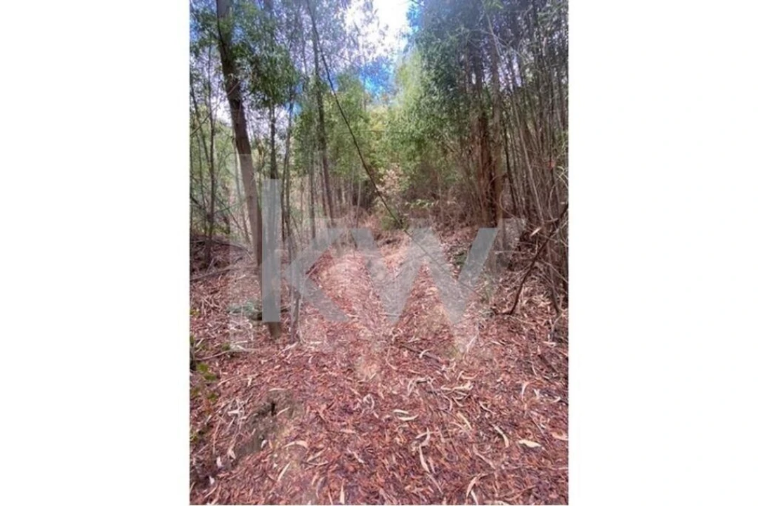 Terreno para Venda em Melres e Medas Foto 23