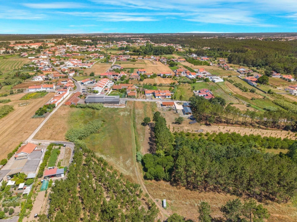Terreno para Venda em Monte Real e Carvide Foto 2