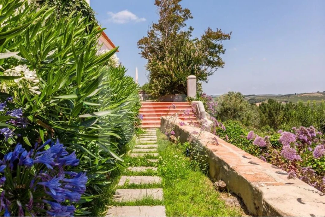 Quinta T9 para Venda em Cadaval e Pêro Moniz Foto 39