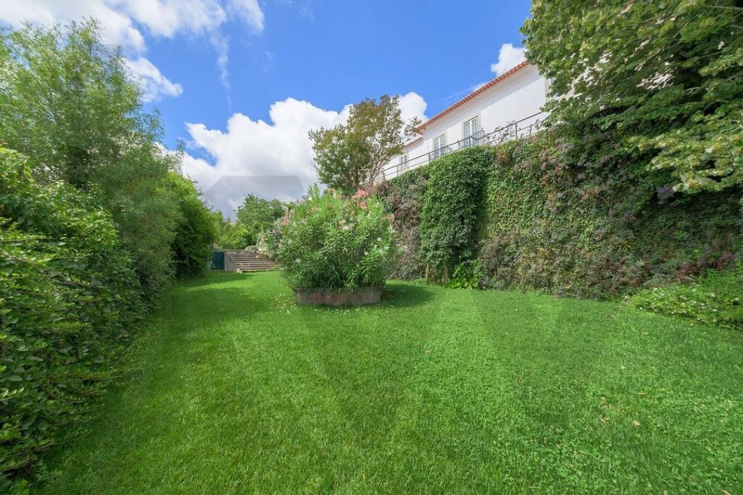 Quinta T9 para Venda em Cadaval e Pêro Moniz Foto 78